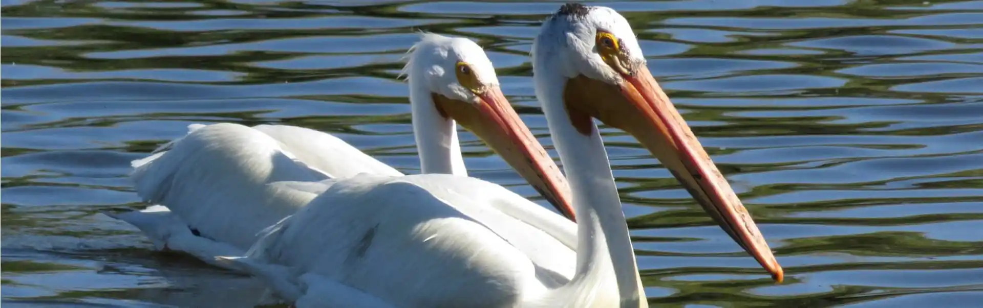 Weekend Getaway to Arbaminch ETHL 06