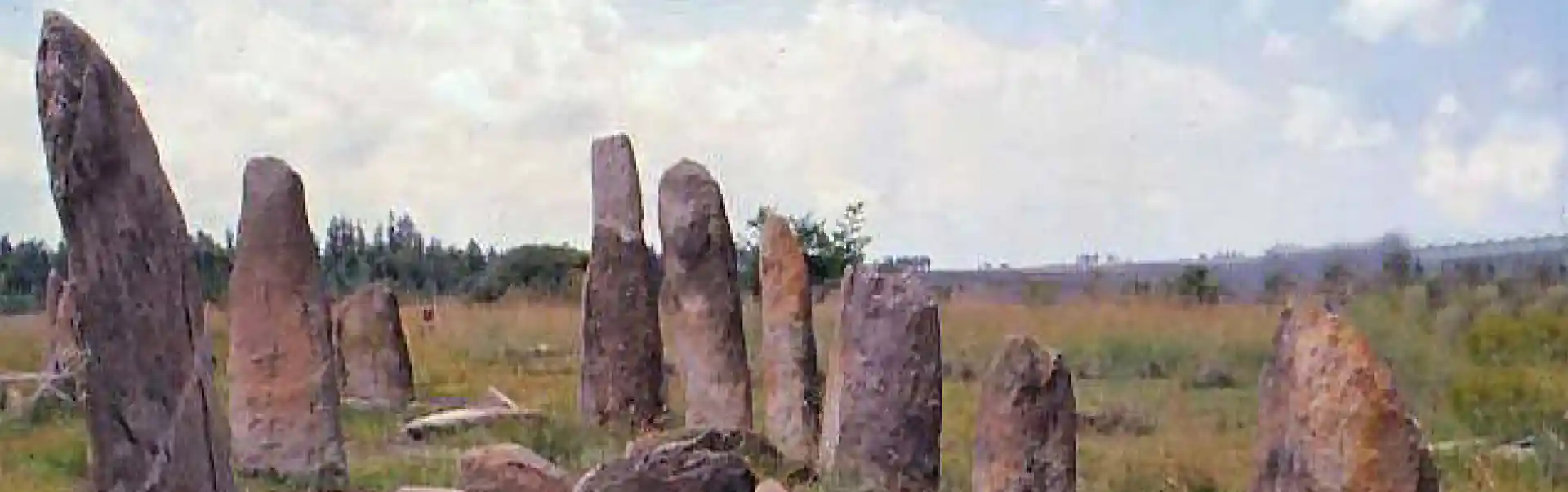Tiya Stelae Field & Addadi Mariam Rock-Hewn Church Tour ETHE07