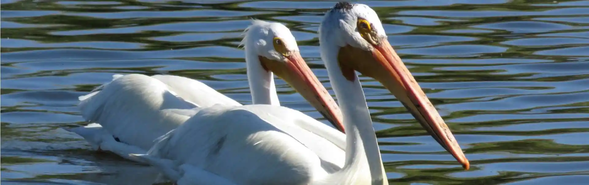 Weekend Getaway to Arbaminch ETHL 06